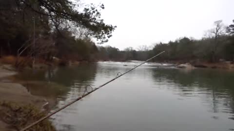 RIVER TROUT FISHING (Primitive Catch & Cook)