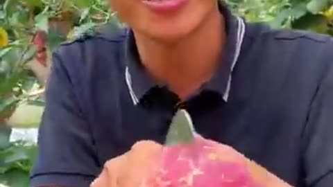 Sweet Apples cutting at farm #farming #harvesting