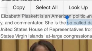 Before and after a screaming phone call from the “so-called congresswoman” Plaskett