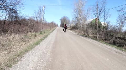 GALLOPING MY NEW HORSE DOWN THE ROAD FAST TIME