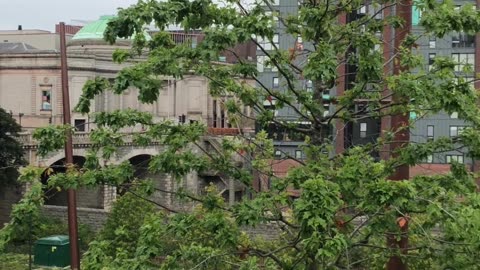 Hidden Charms of Aberdeen's Streets