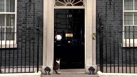 Larry the cat declines to comment on PM Johnson's crisis