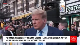 🏪TRUMP /// BODEGA