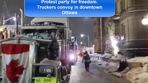 Protest party for freedom. Downtown Ottawa trucker's convoy day 10