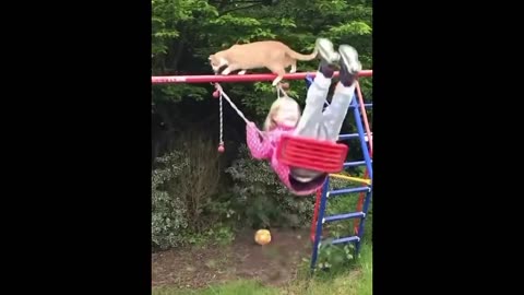 New Funny Animals 😂 Funniest Cats and Dogs Videos 😺🐶