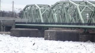 Deer On Frozen Delaware River