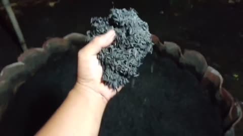 How to make husk charcoal can be an opportunity for your own business and for living expenses