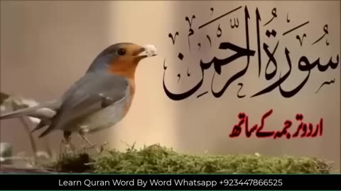 Surah Rahman Urdu tarjuma ke sath - Shaikh Abdul basset 2023