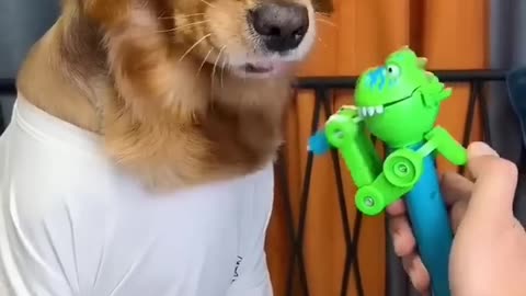 Dog licking a lollipop
