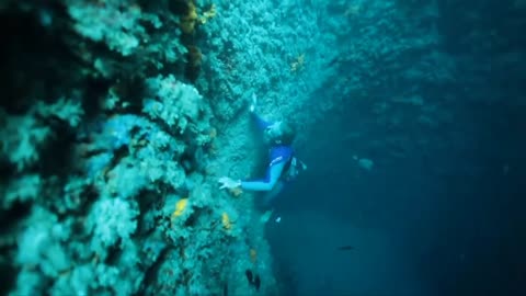 Never be Nery free diving in vouliagmeni ♥️🐚🪸