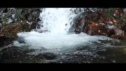 Canon 80d | video keindahan hutan yang masih alami di pulau belitong