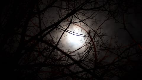Full Moon night spooky video. 4k