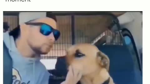 Love between dogs and Human