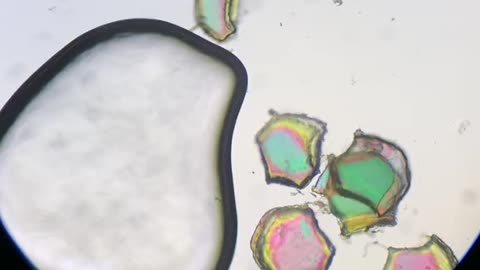 glitter glue is beautiful at 400x under a microscope! #microscope