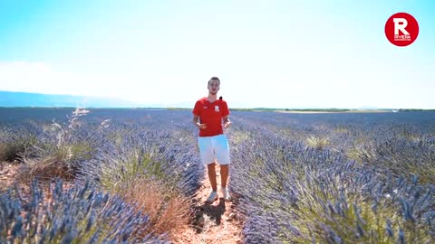 Valensole Lavender Fields in Provence South of France