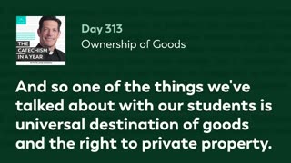 Day 313: Ownership of Goods — The Catechism in a Year (with Fr. Mike Schmitz)