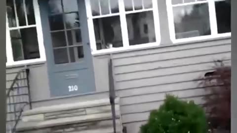 Miaouuu-sseur: A postman attacks a cat (='.'=) in a hilarious battle