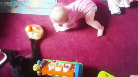 Baby and Cat Fun and Cute - Funny Baby Vid