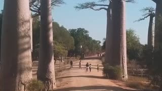 Places that don't feel real Madagascar edition