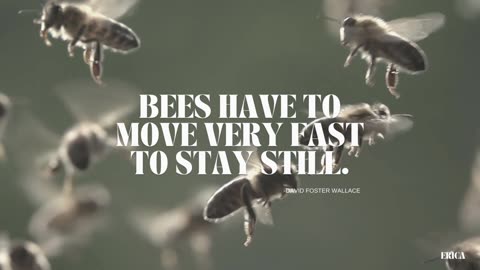 DAILY MOTIVATION 25: Bees | relaxing background, instrumental, chill, stress relief