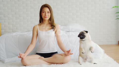 Yoga Lotus Pose With Dog Pug