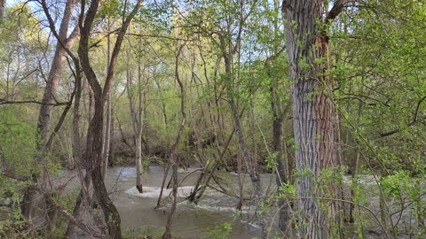 Carmel Valley River