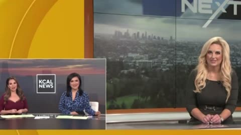 LA Weatherwoman's Eyes Roll Back As She Suddenly Collapses On Live TV