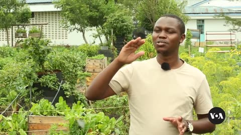 Urban Farming in Kenya Aims to Improves Food Security in Cities