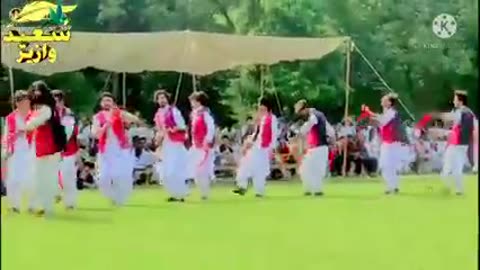 Cultural dance of pushton