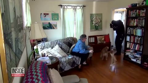 Dogs Tested to See Whether They’d Defend Owner During Home Invasion