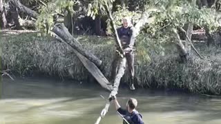 Fisherman's Falling Tree Surprise