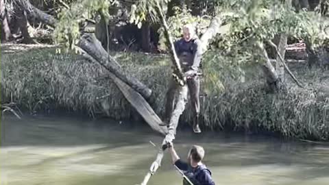 Fisherman's Falling Tree Surprise