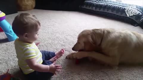 Babies with Dogs