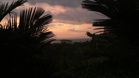 Costa Rica - Jungle Sundown Over the Sea - HQ Stereo Sound #shorts