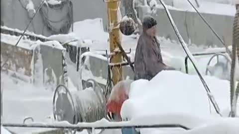Russian sailors rescue a dog stranded on an iceberg
