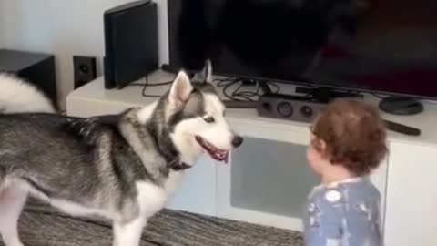 cute baby playing with cute dog