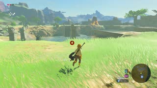 Playing Zelda BOTW
