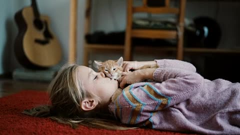 Little girl playing with kittens indoors video