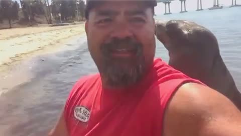 Sea Lion Jumps On Guy's Boat And Makes A Friend