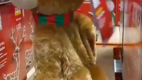 Twerking Christmas Bear