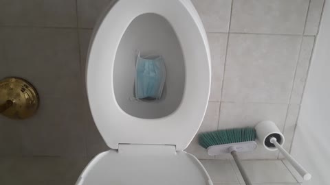 Mask In A Toilet