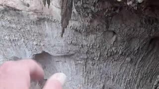 This Natural Bridge in Arizona shows us God's judgement in the Flood.2/14/23