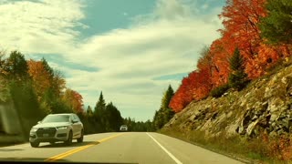 Fall colors in Algonquin Park - Canada