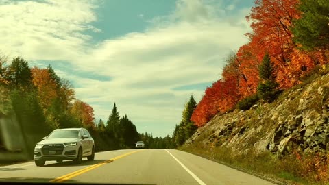 Fall colors in Algonquin Park - Canada