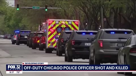 Off-Duty Chicago Police Officer Shot & Killed In Her Own Front Yard