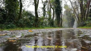 Waterfall & Rain Sounds in a Peaceful Forest 🌊🏞️ Nature sounds for sleep, healing, study,relaxations