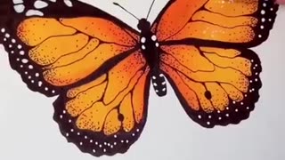 Butterfly drawing painting Natural Artist 2023