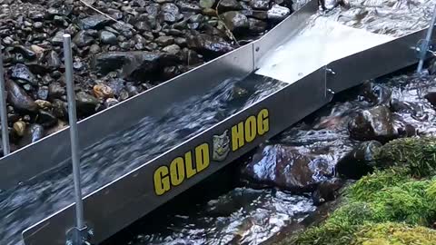 River Sluice Gold Prospecting in Olympic Mountains