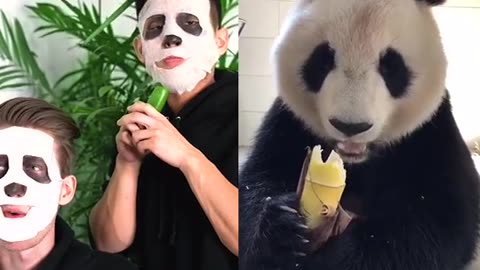 WHO DID IT BETTER i or panda