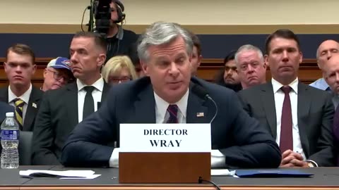 Watch Rep Harriett Hagemon Humiliate Dirty Chris Wray for Illegally Censoring Free Speech in America